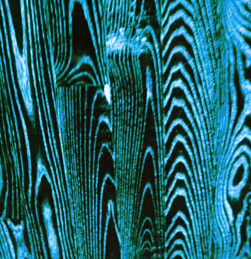 Fosforová barva tyrkysová 1000ml