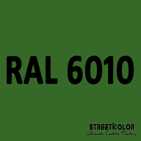 RAL 6010 Akrylová auto barva lesklá nebo matná 1 litr + tužidlo + ředidlo