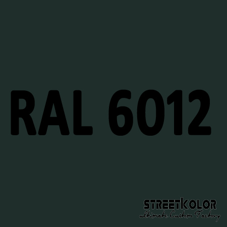 RAL 6012 Akrylová auto barva lesklá nebo matná 1 litr + tužidlo + ředidlo
