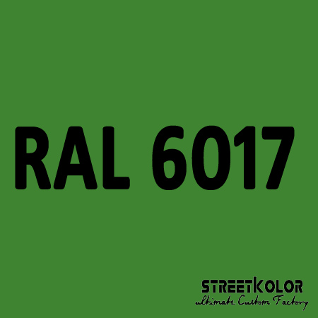 RAL 6017 Akrylová auto barva lesklá nebo matná 1 litr + tužidlo + ředidlo