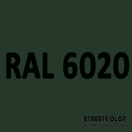 RAL 6020 Akrylová auto barva lesklá nebo matná 1 litr + tužidlo + ředidlo