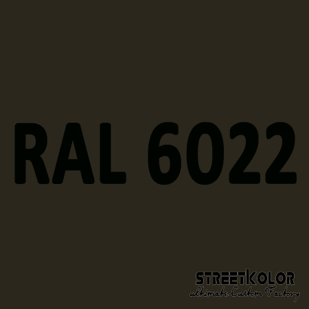 RAL 6022 Akrylová auto barva lesklá nebo matná 1 litr + tužidlo + ředidlo