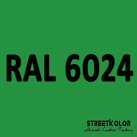 RAL 6024 Akrylová auto barva lesklá nebo matná 1 litr + tužidlo + ředidlo