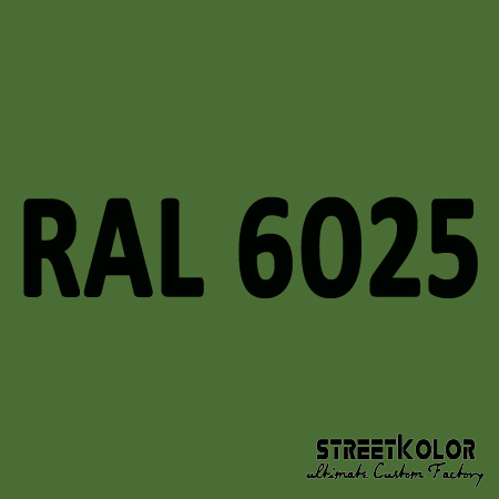 RAL 6025 Akrylová auto barva lesklá nebo matná 1 litr + tužidlo + ředidlo