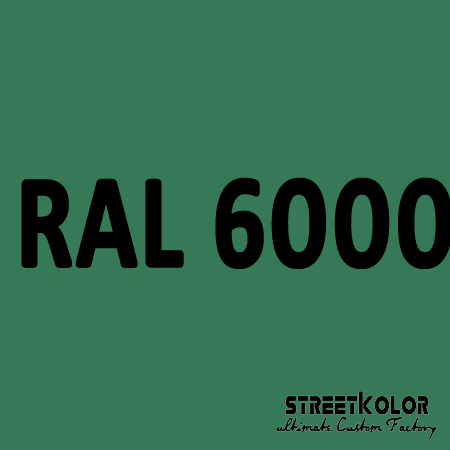 RAL 6000 Uretanová auto barva lesklá nebo matná 1 litr + tužidlo + ředidlo