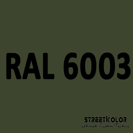 RAL 6003 Uretanová auto barva lesklá nebo matná 1 litr + tužidlo + ředidlo